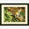 Leopard in Repose Counted Cross Stitch